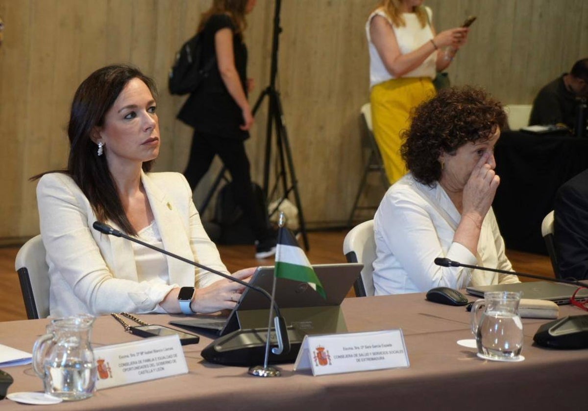 La consejera de Salud, Sara García Espada, ayer en la sectorial de Tenerife.