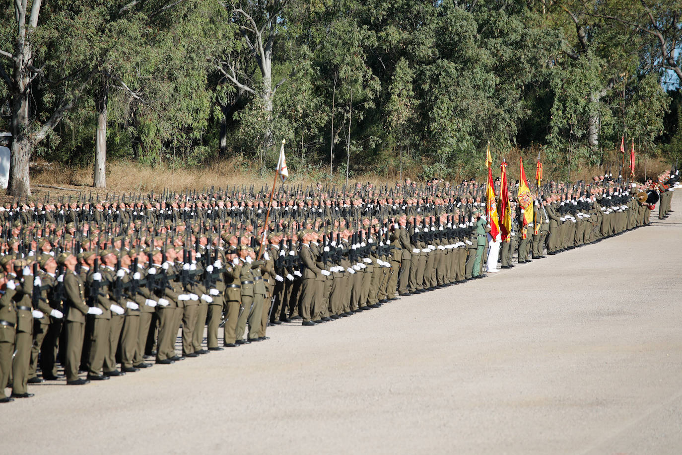 Las mejores imágenes de la jura de bandera en Cáceres (II)