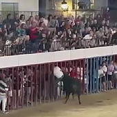 Un herido grave tras recibir tres cornadas en las fiestas de Moraleja