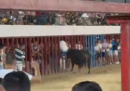 Momento en el que el hombre ha sido corneado en la plaza de Moraleja.