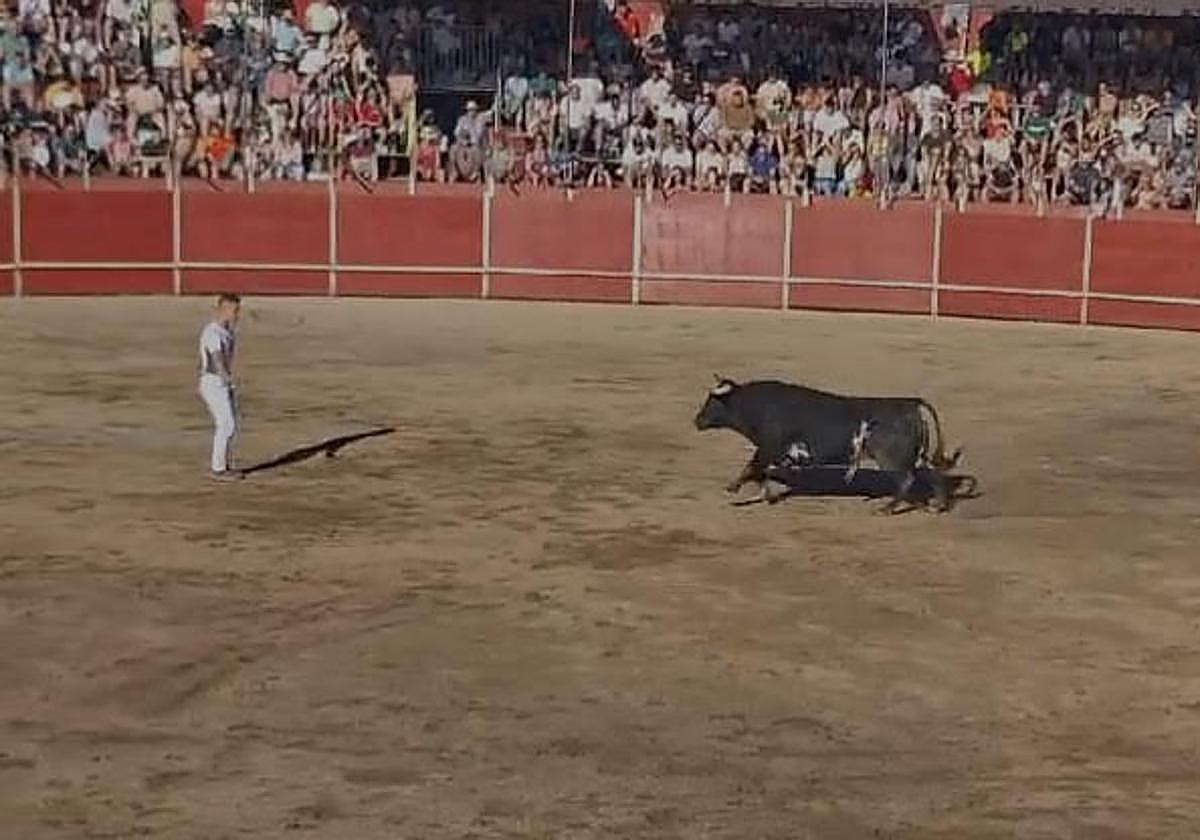 El recortador de 23 años golpeado en el concurso de recortes de Moraleja