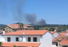 Imagen y vídeo del incendio.