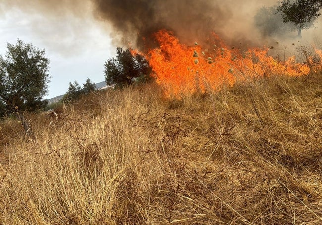 Llamas del incendio de ayer en Salvatierra.