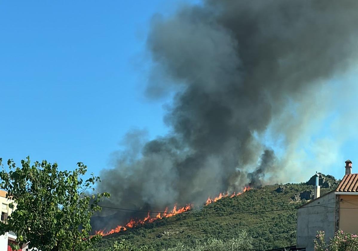 Imagen del incendio en Oliva de Mérida.