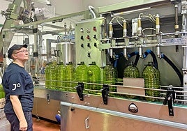 Envasando aceite de oliva extremeño en Pozuelo de Zarzón.