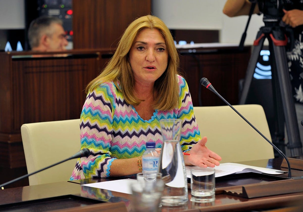 La secretaria general de Educación, Pilar Pérez, esta mañana en la Asamblea.