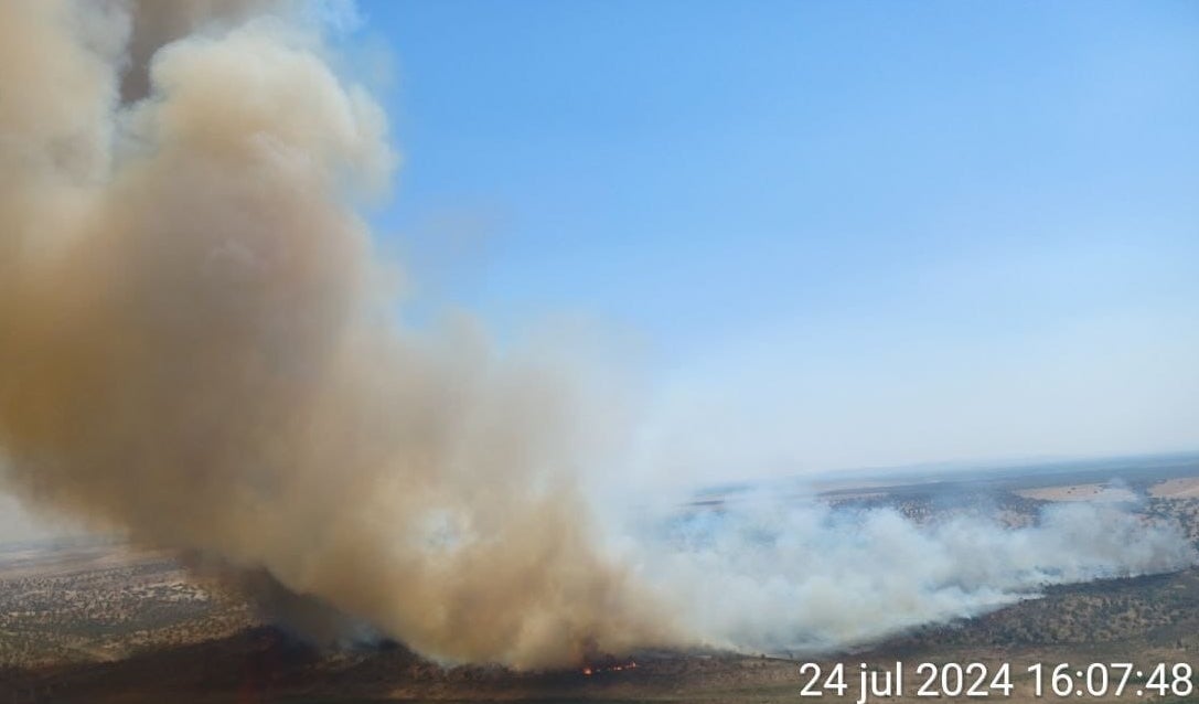 Incendio registrado en la tarde de este miércoles en el término municipal de Ribera del Fresno. 