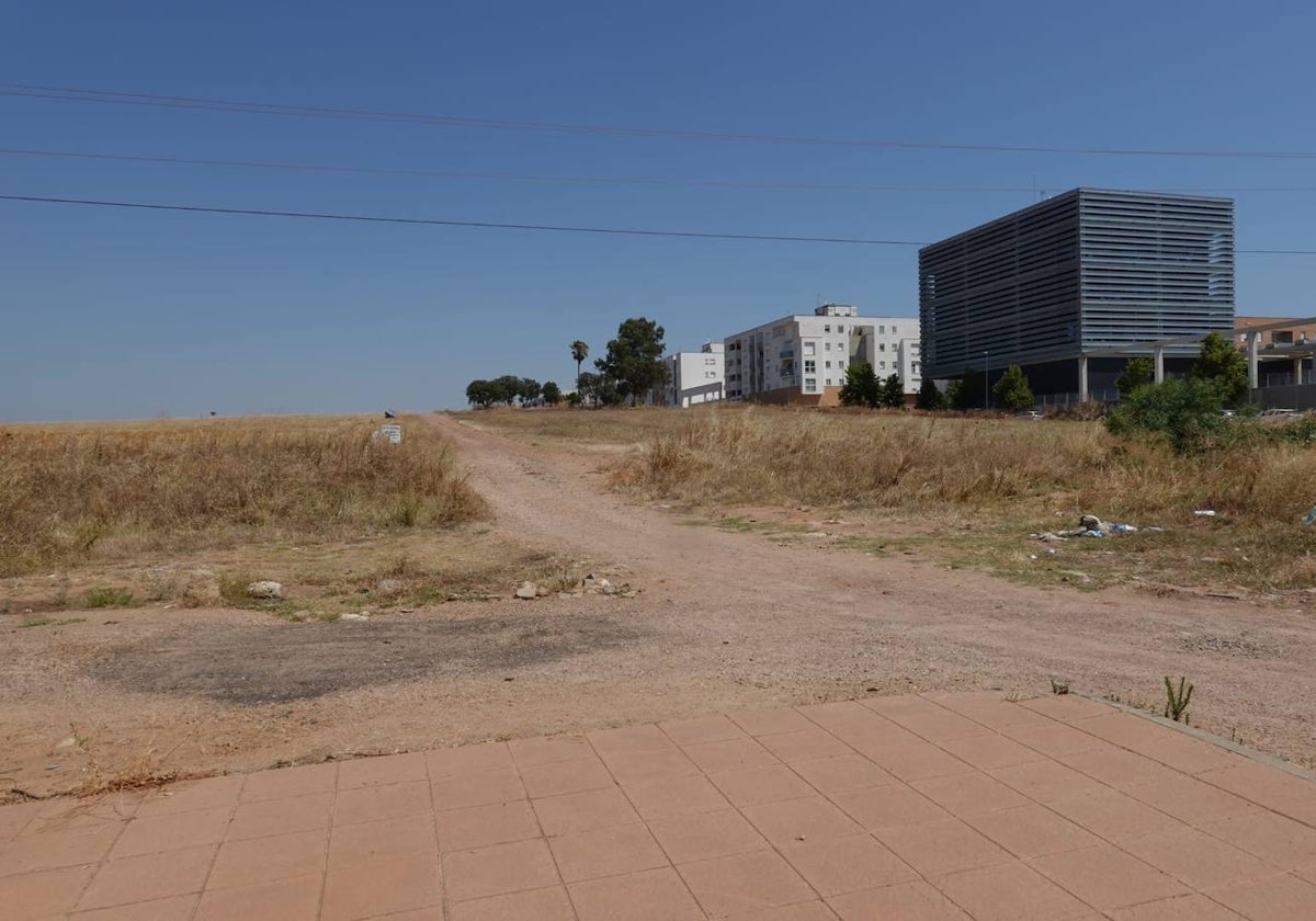 Los terrenos donde se urbanizará junto al Cuartón Cortijo de Badajoz.