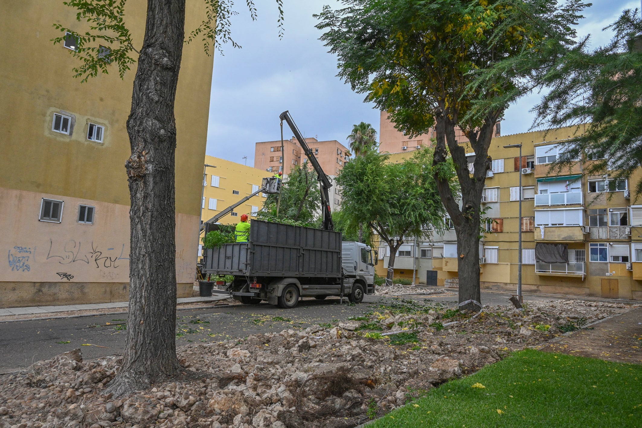 Los operarios del Ayuntamietno ayer en el tala de árboles.