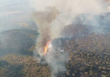 Badajoz, la provincia española con mayor número de grandes incendios forestales en 2024