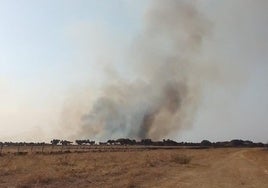 El humo es visible desde varios kilómetros de distancia.