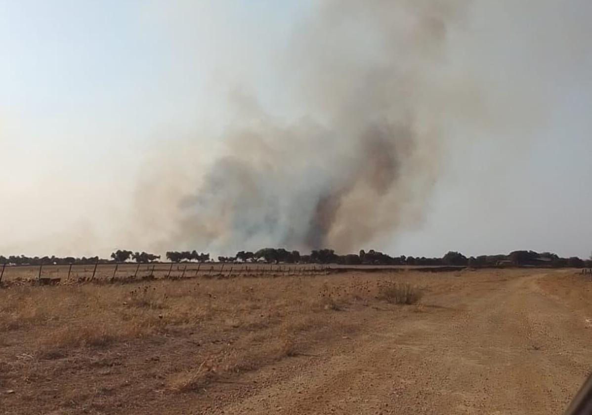 El humo es visible desde varios kilómetros de distancia.