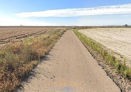 Vía en la que ha tenido lugar el siniestro vial.