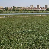 La obra para poner compuertas en el azud de la Granadilla costará 4,4 millones