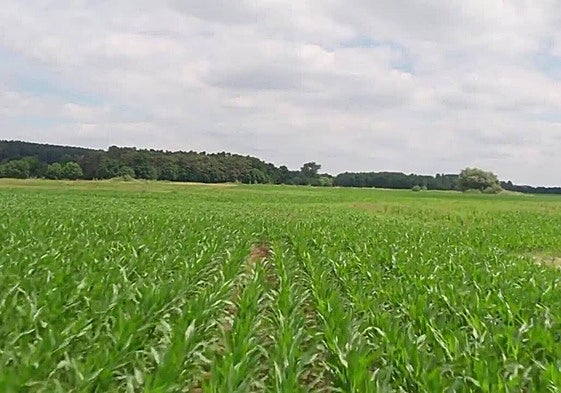 Apag pide que se anticipe el 70% de las ayudas de la PAC a partir del 16 de octubre