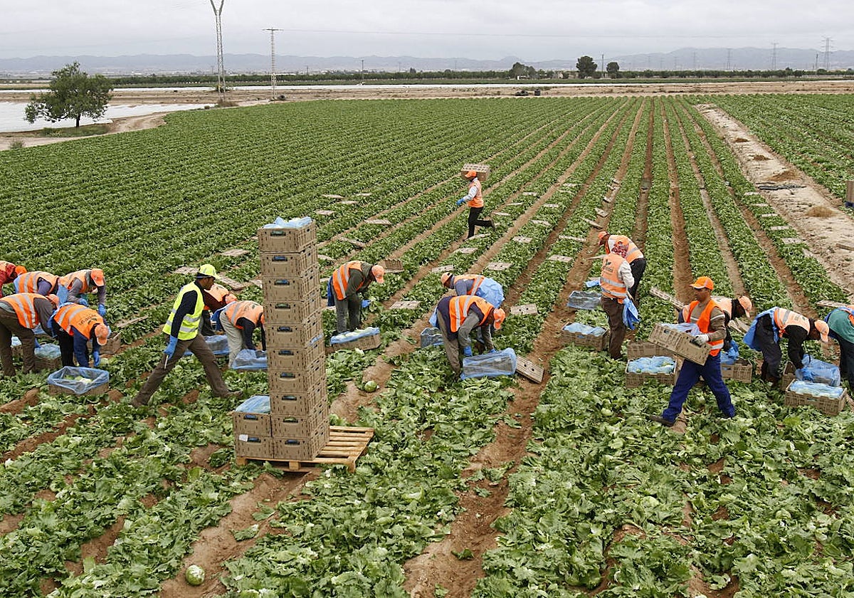 El número de extranjeros afiliados en el sector primarios es el que más fluctúa a lo largo del año.