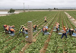 El número de extranjeros afiliados en el sector primarios es el que más fluctúa a lo largo del año.