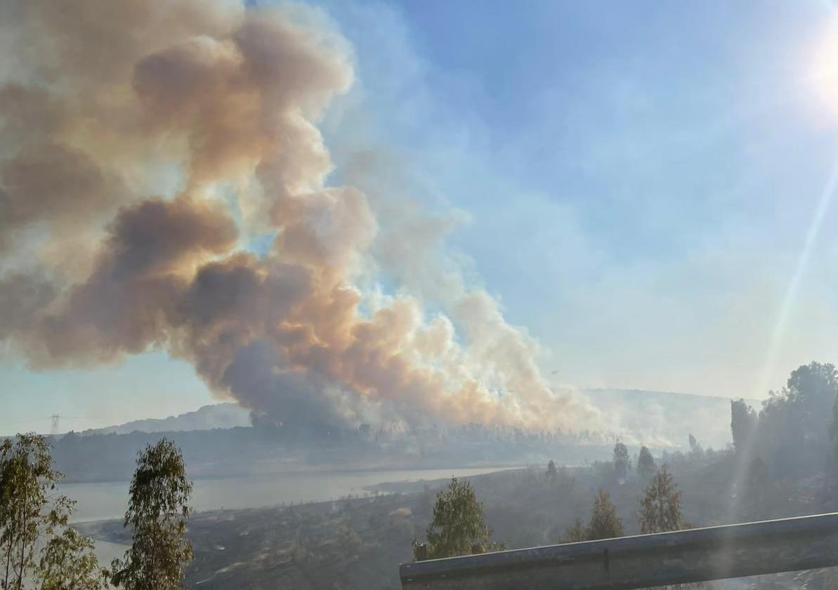 El incendio forestal de Alange, en imágenes