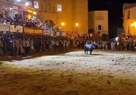 El toro 'Histérico' de la lidia de Torrejoncillo.