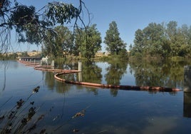 Barreras en el Guadiana junto a la grúa automática en la Tijera, cerca del tramo urbano.