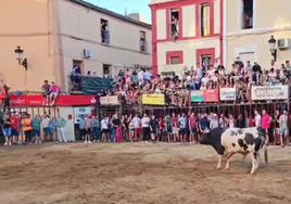 La cogida se produjo solo un minuto después de la suelta de Rondito en al plaza.