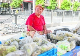 Domingo Pizarro este miércoles en su puesto ambulante, instalado junto a Correos.