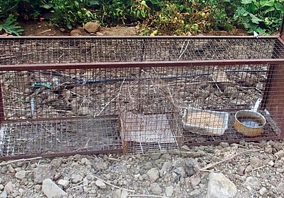 Imagen de la trampa encontrada en Castuera.