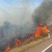 El incendio de Badajoz, cerca del cuartel de Bótoa, en imágenes