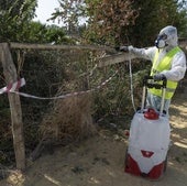 El SES confirma siete nuevos casos de fiebre del Nilo, uno de ellos ingresado