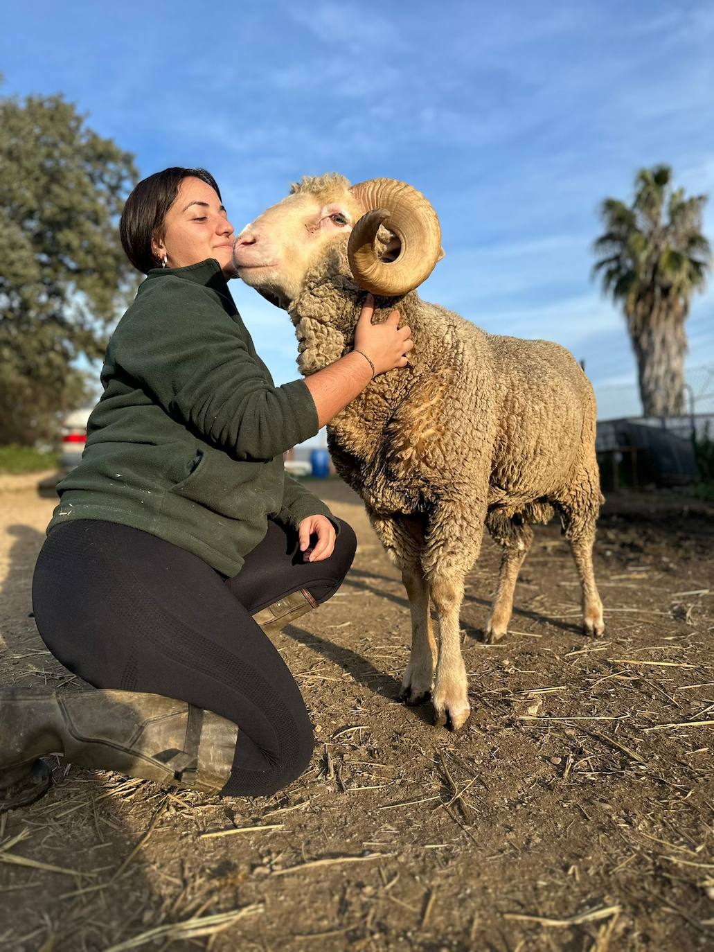 Ángela del Carmen Santiago, con uno de los carneros de su explotación ganadera.