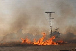 Fotos | Así se ha visto el fuego cerca del mercadillo en Badajoz