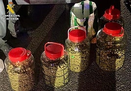 En el maletero del coche hallaron cinco grandes botes de cristal con cogollos de marihuana.