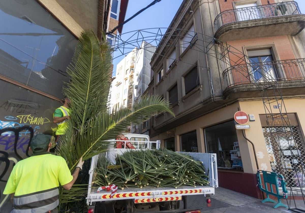 Operarios municipales engalanan con palmas un arco en Clavellina por donde pasará la procesión.