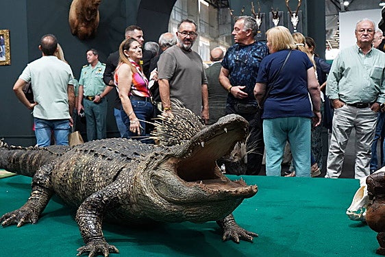 La exposición de trofeos de caza es uno de los grandes atractivos de la feria.