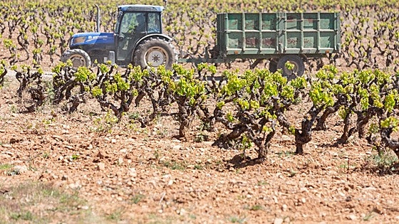 El plan Renove agrícola de 2024 se extiende hasta el 15 de septiembre