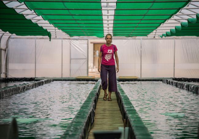 Ainhoa entre las dos piscinas donde cultiva la microalga espirulina, en Acebo, pueblo al que llegó tras vivir en Valencia.