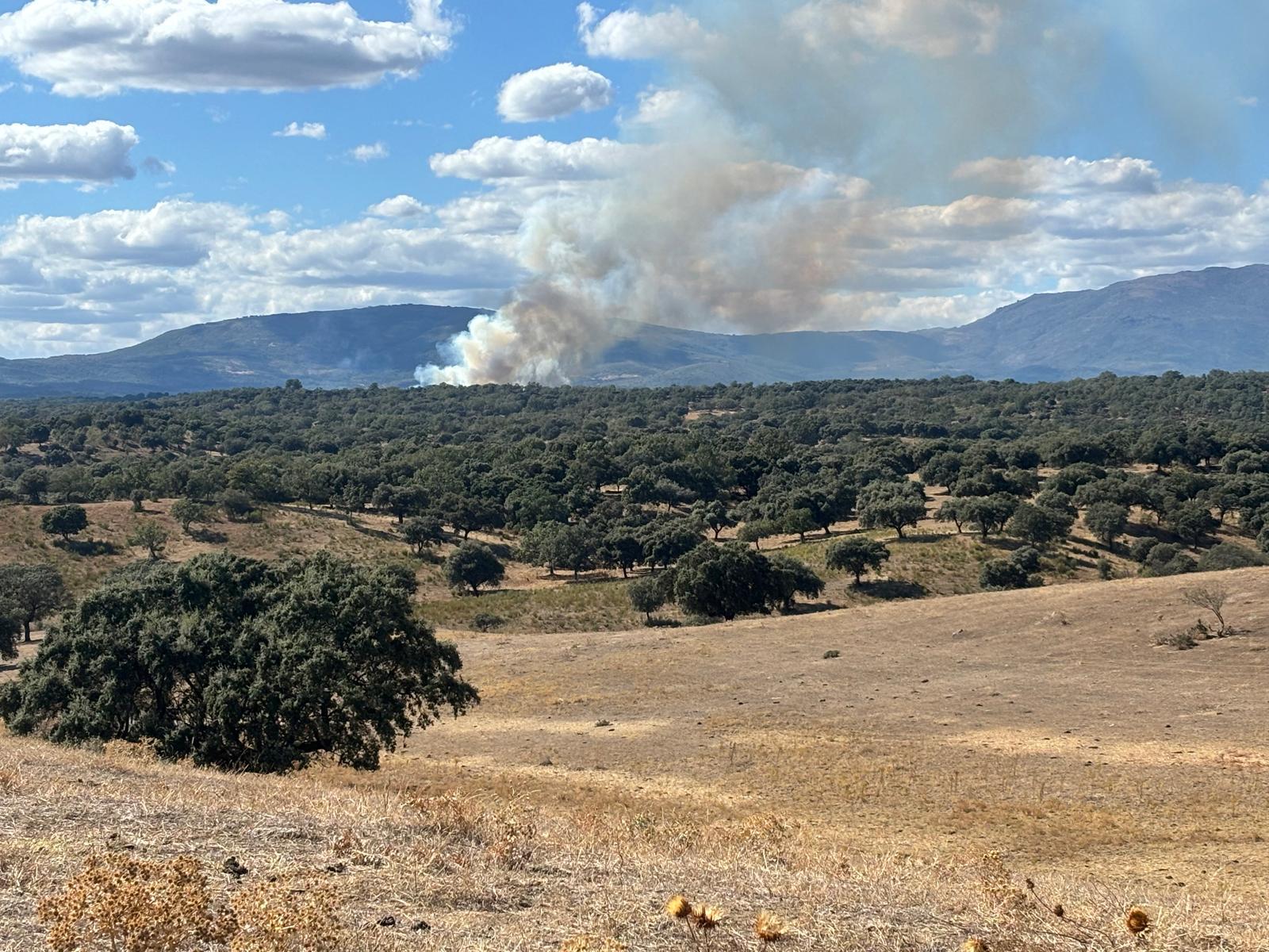 El incendio forestal de Villasbuenas de Gata, en imágenes