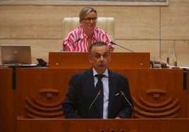 El presidente del Grupo Vox, Ángel Pelayo Gordillo.