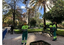 Operarios de la contrata de jardines, Talher, intervienen en la parte baja de Cánovas.