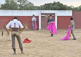 Entre las acciones subvencionables se incluye la celebración de tentaderos.