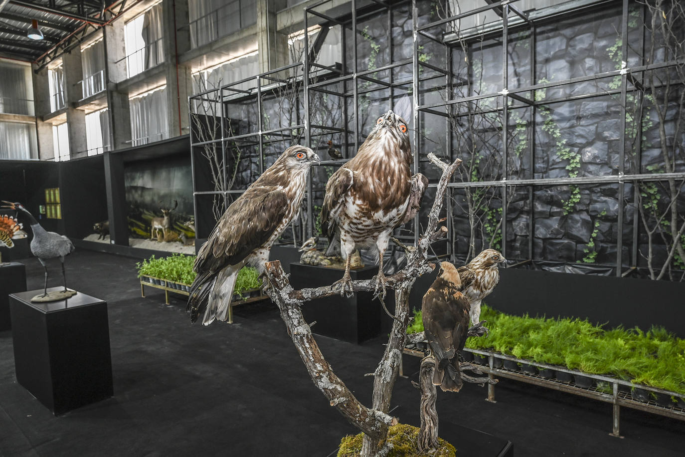 Fotos | La Feria de la Pesca, Caza y Naturaleza Ibérica de Badajoz en imágenes