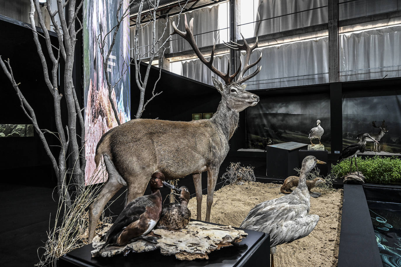 Fotos | La Feria de la Pesca, Caza y Naturaleza Ibérica de Badajoz en imágenes