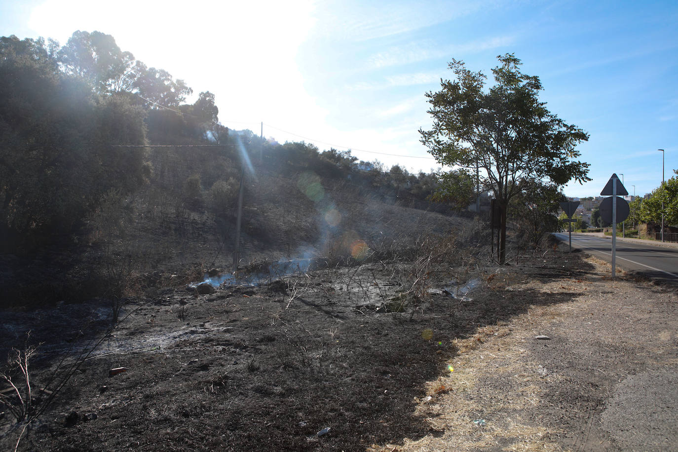 Así afectaron las llamas al Paseo Alto y al campamento romano