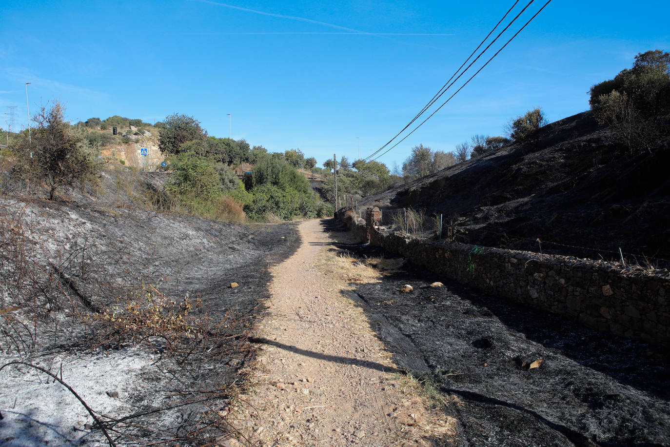 Así afectaron las llamas al Paseo Alto y al campamento romano