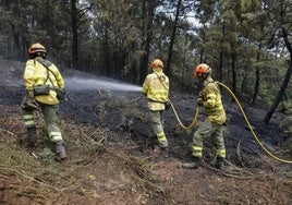 Bomberos forestales del Infoex trabajando en un incendio.