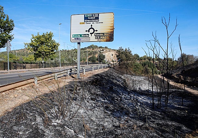 Zona quemada en la ladera del Paseo Alto junto a la carretera glorieta del Casar de la Ronda Norte.