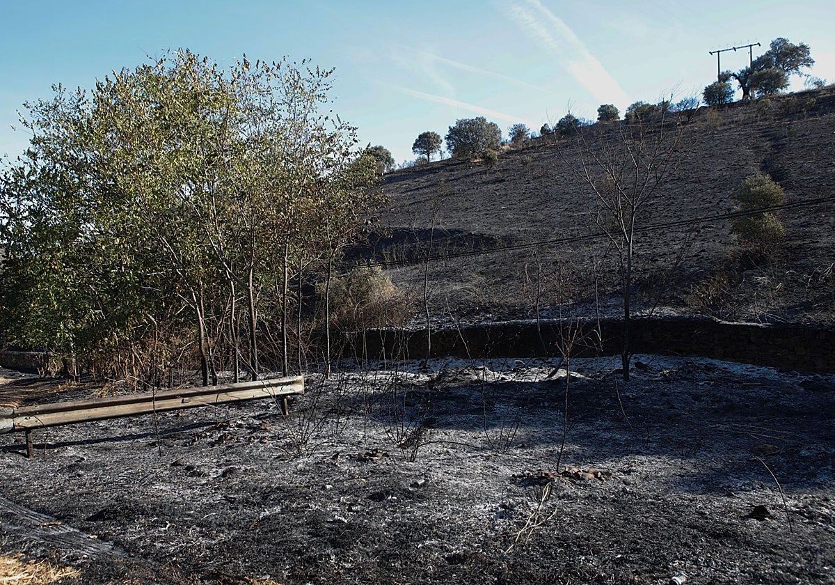 Imagen de los efectos del fuego en la zona del Paseo Alto.