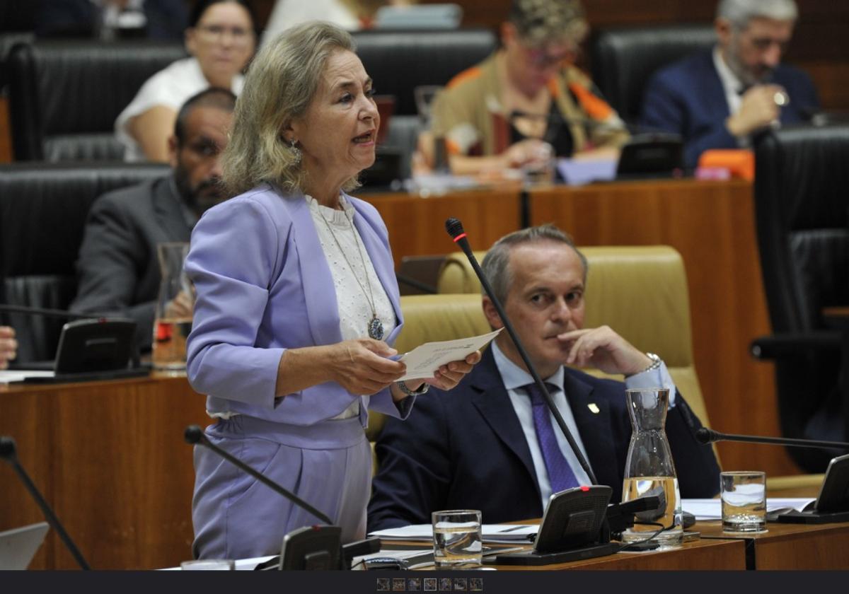 La consejera de Educación, Mercedes Vaquera, durante el pleno este jueves en la Asamblea.