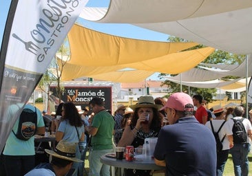 Ambiente en el parque 'El Téjar' el Día del Jamón de Monesterio