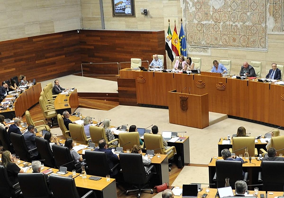 Pleno en la Asamblea de Extremadura este jueves.